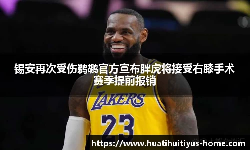 华体会体育